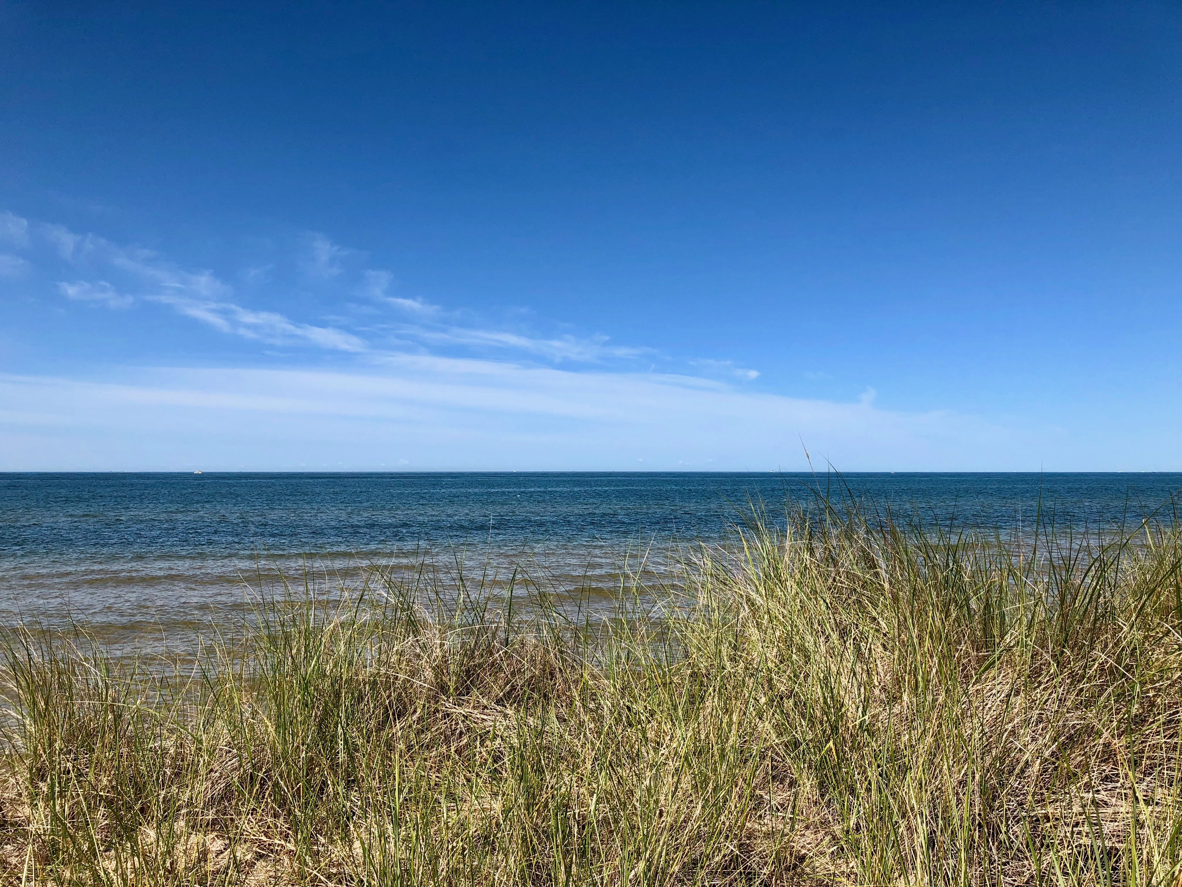 Home Page Image